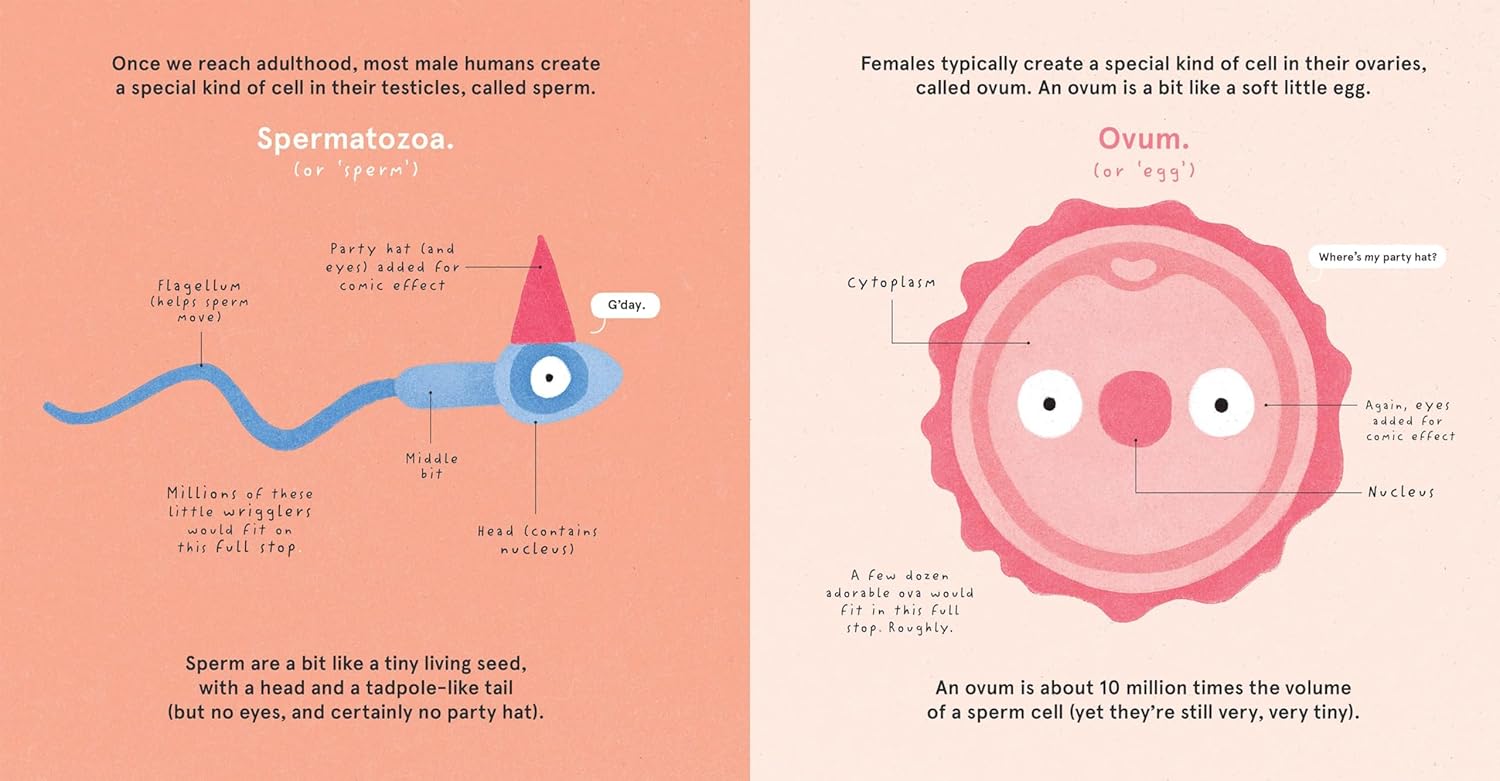 How Babies are Made.