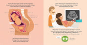 How Babies are Made.