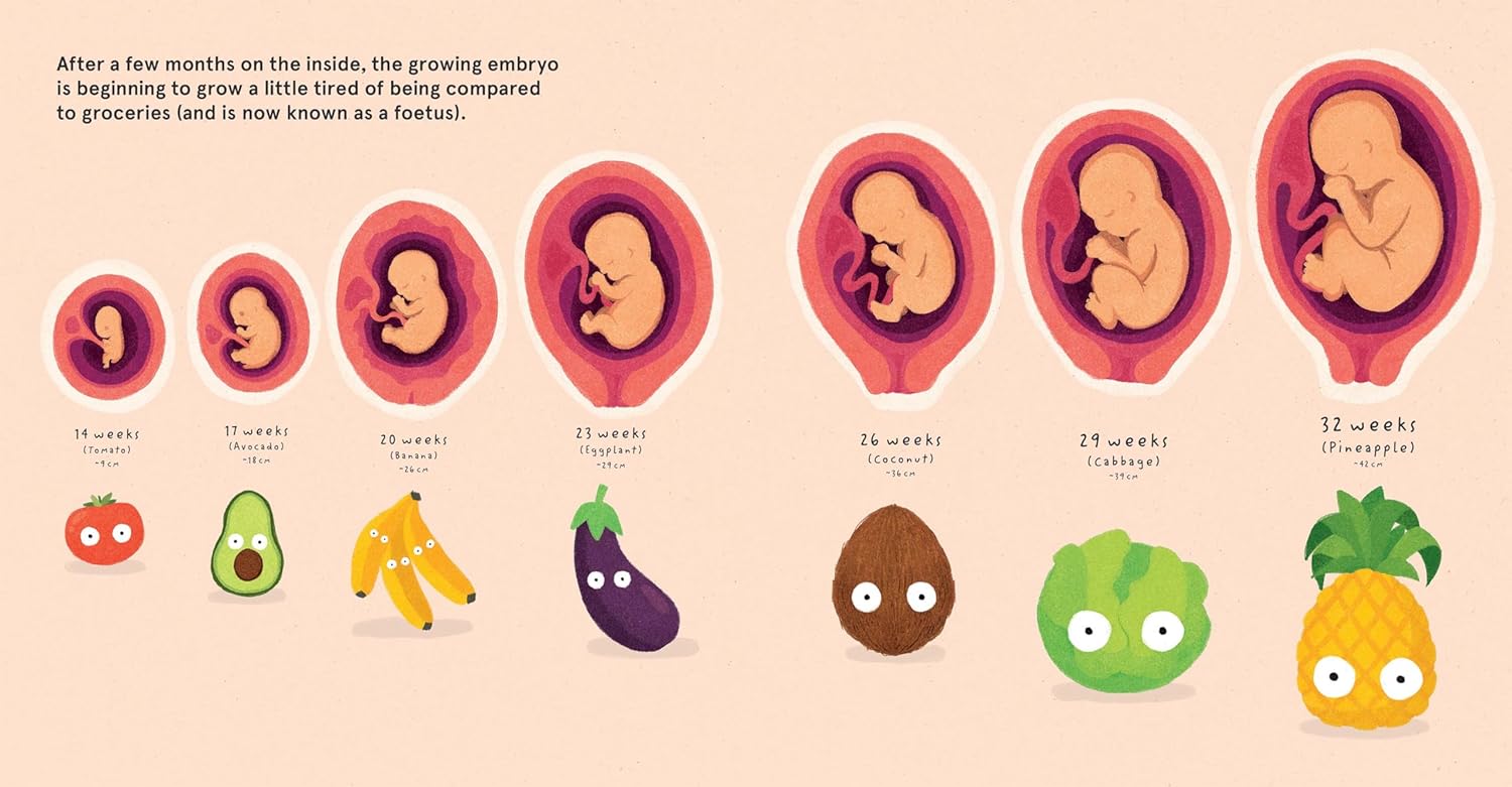 How Babies are Made.