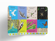 Britannica's Baby Encyclopedia