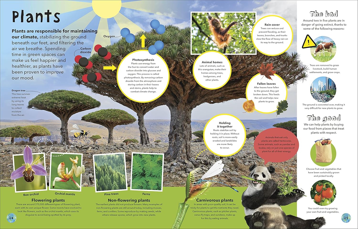 It's a Wonderful World: How to Protect the Planet and Change the Future