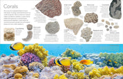 DK Eyewitness: Fossil