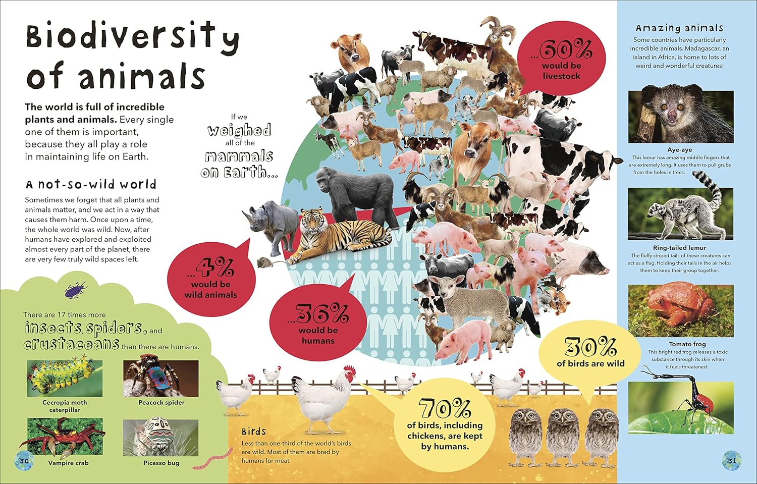 It's a Wonderful World: How to Protect the Planet and Change the Future
