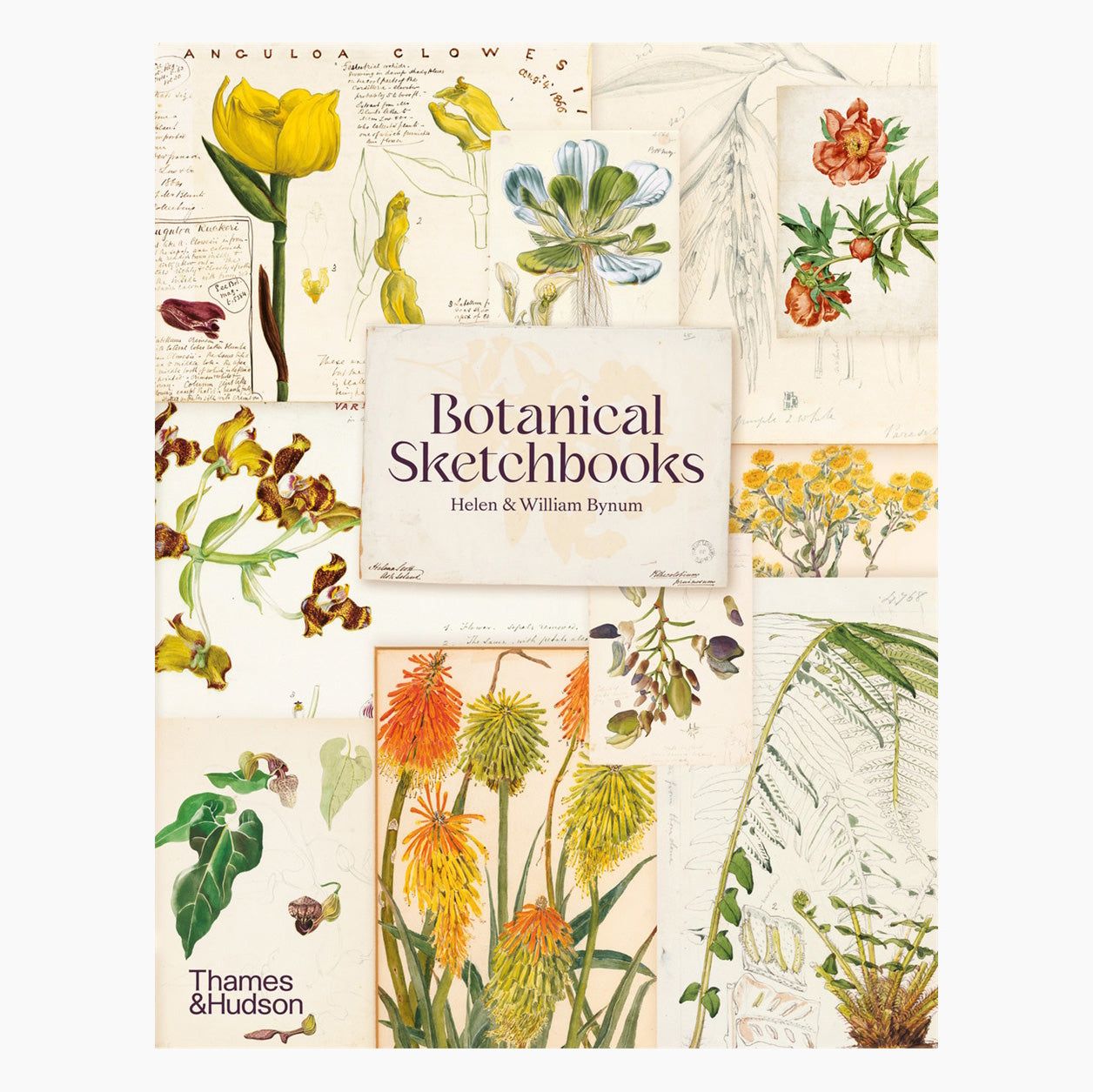 Botanical Sketchbooks – Museums Victoria Store