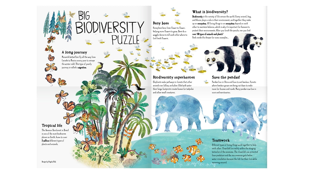 The Big Biodiversity Puzzle 70pc