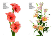 Flower Colour Guide