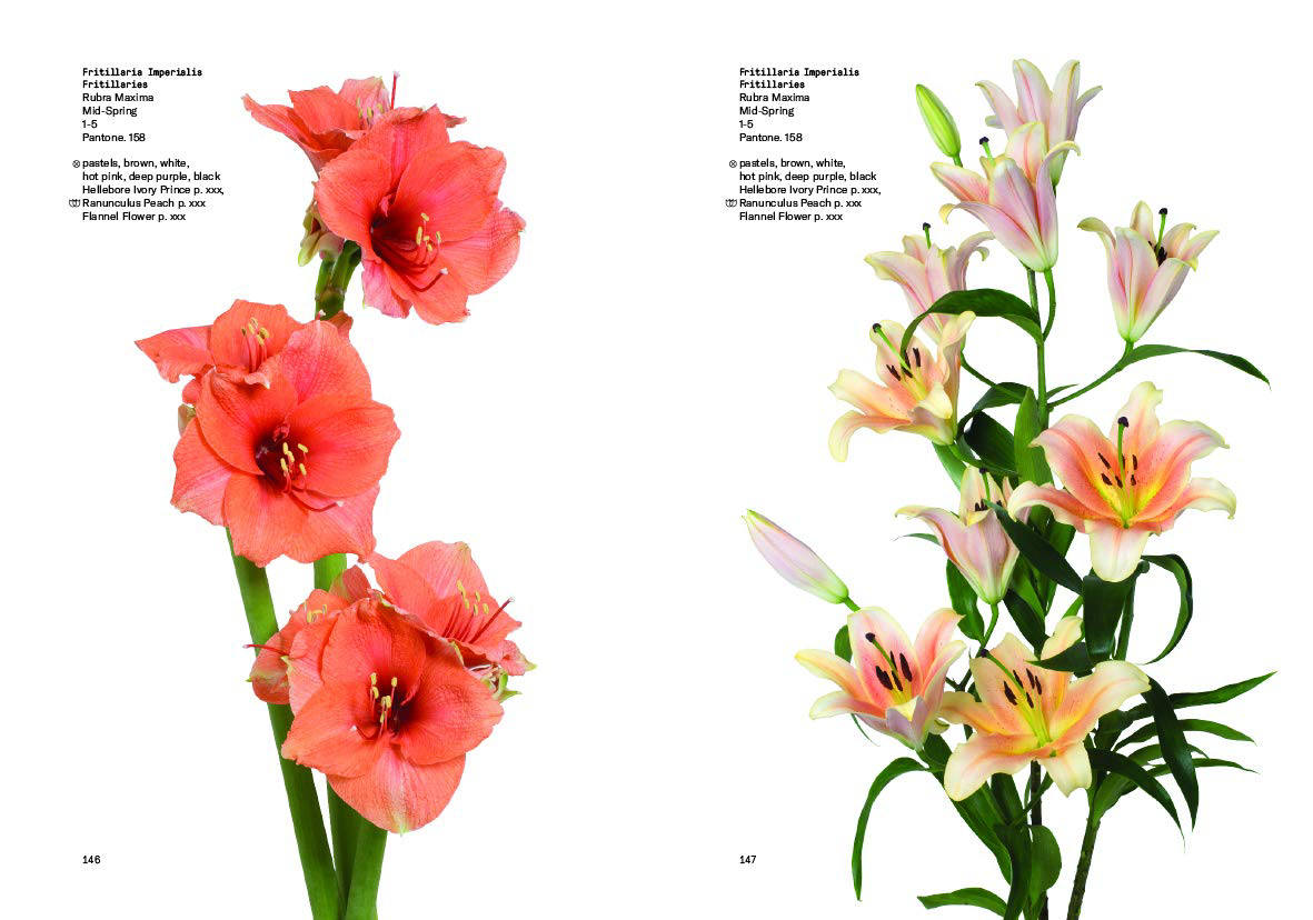 Flower Colour Guide