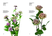 Flower Colour Guide