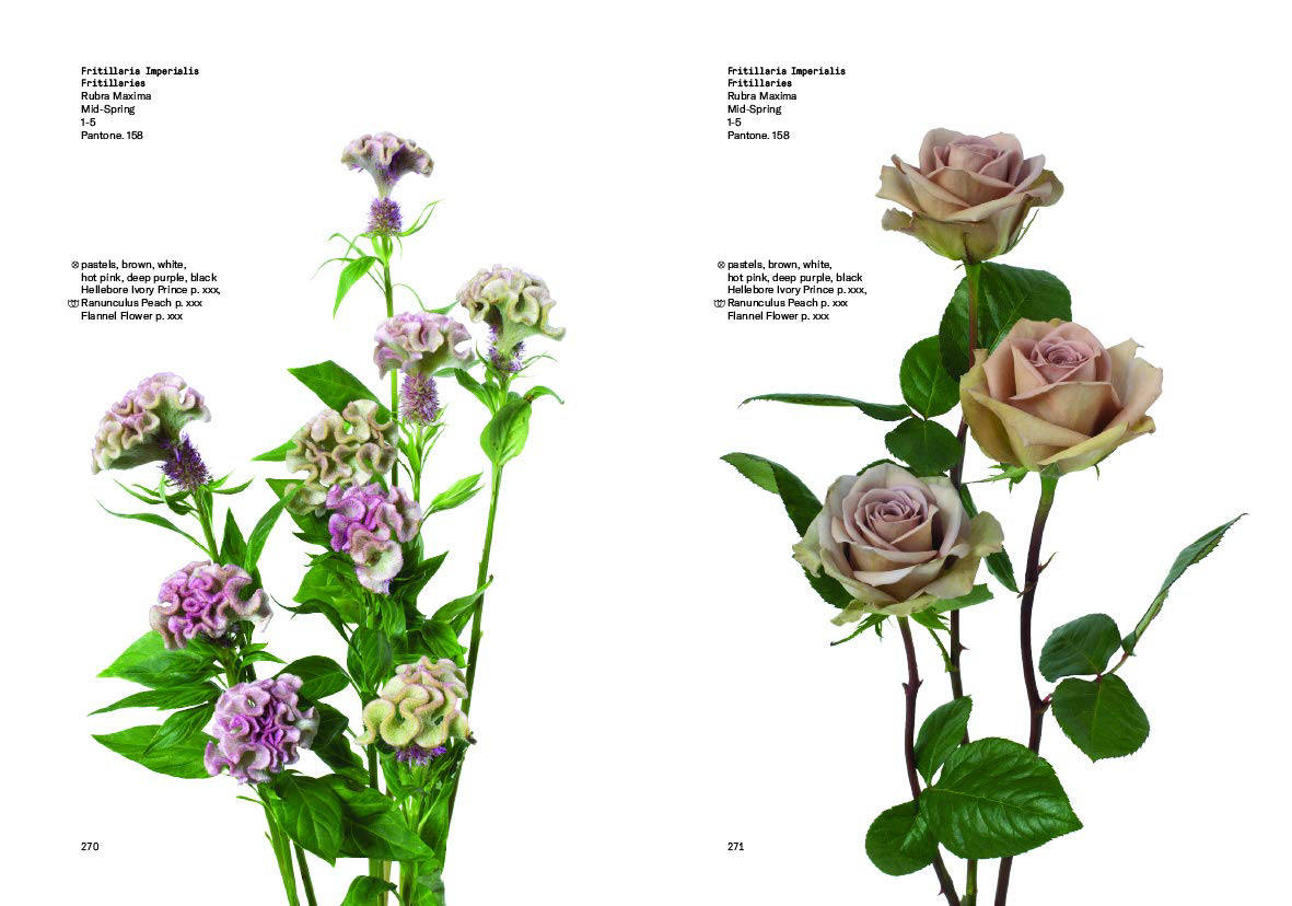 Flower Colour Guide