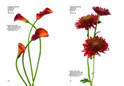 Flower Colour Guide