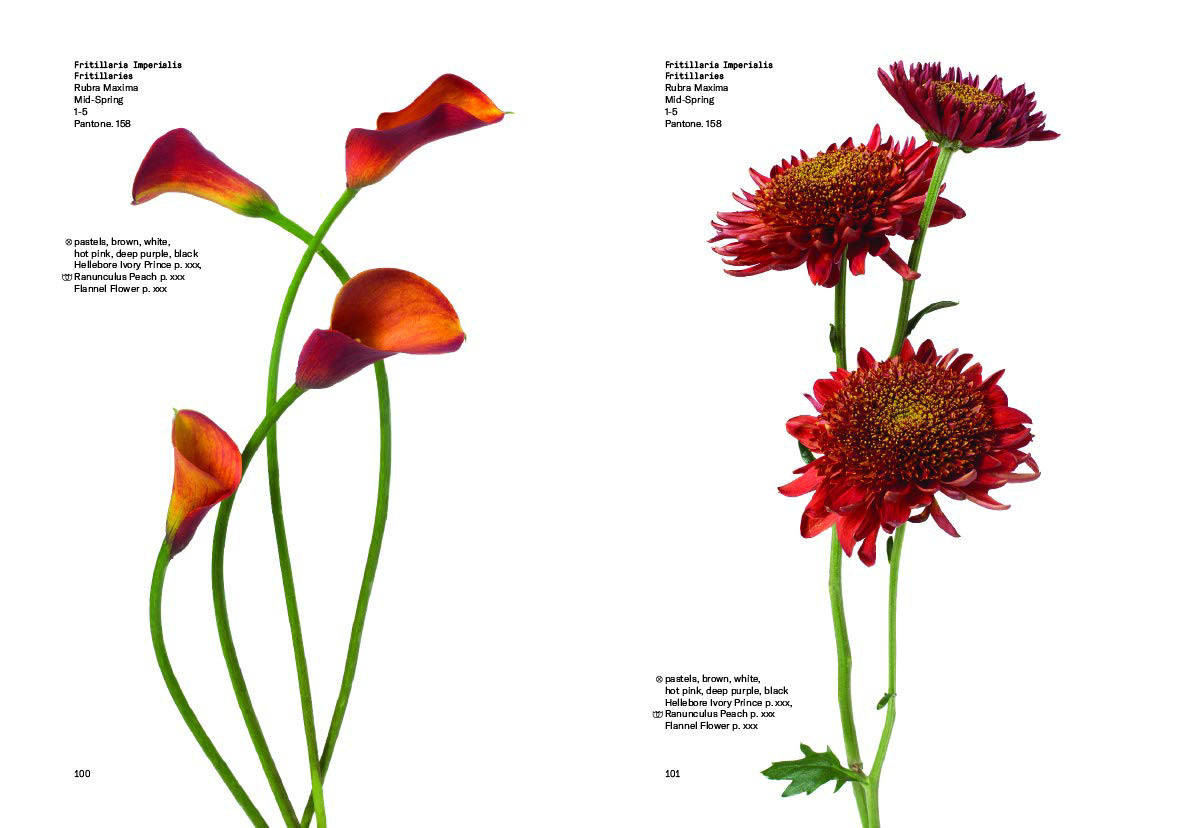 Flower Colour Guide