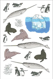 Ocean Anatomy Sticker Book