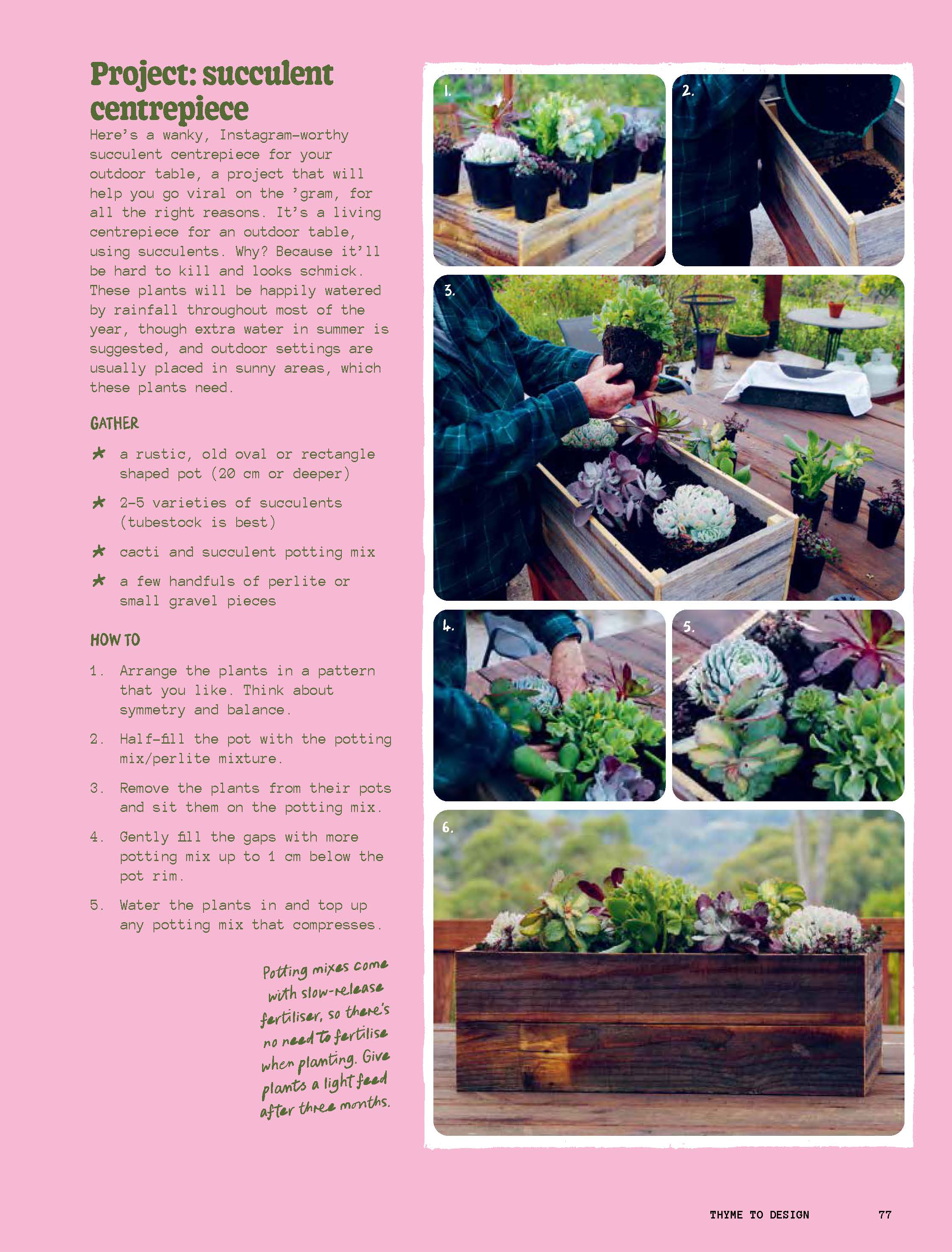 The Rookie Gardener