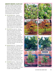 The Rookie Gardener