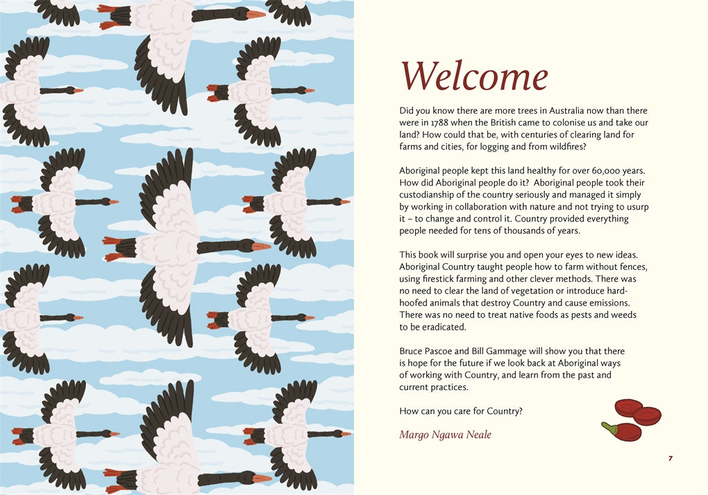 Caring for Country: First Knowledges for younger readers