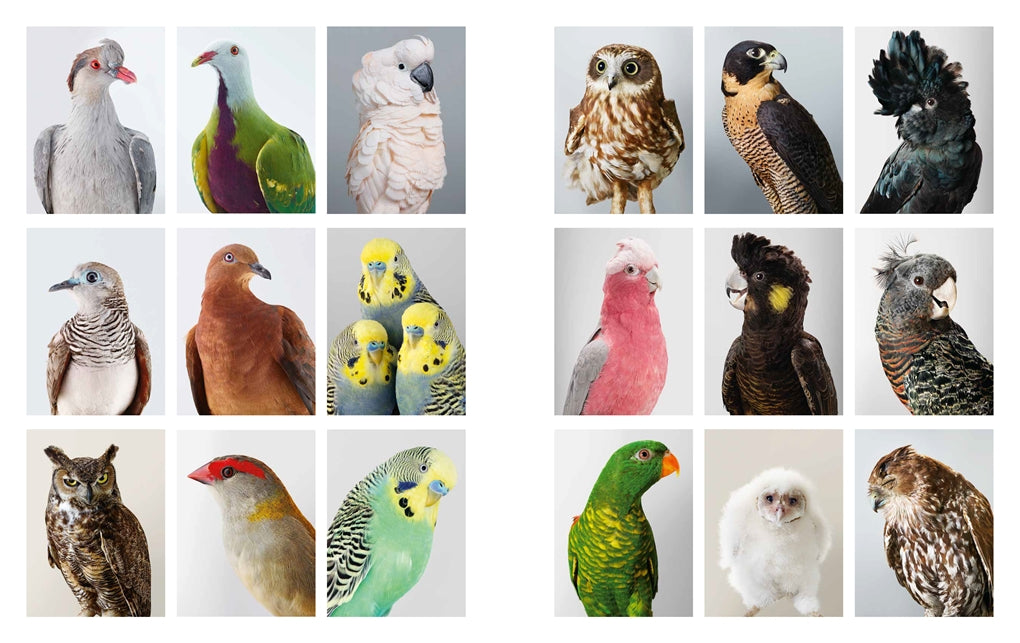 Exposure: Contemporary photographers in Australia and New Zealand