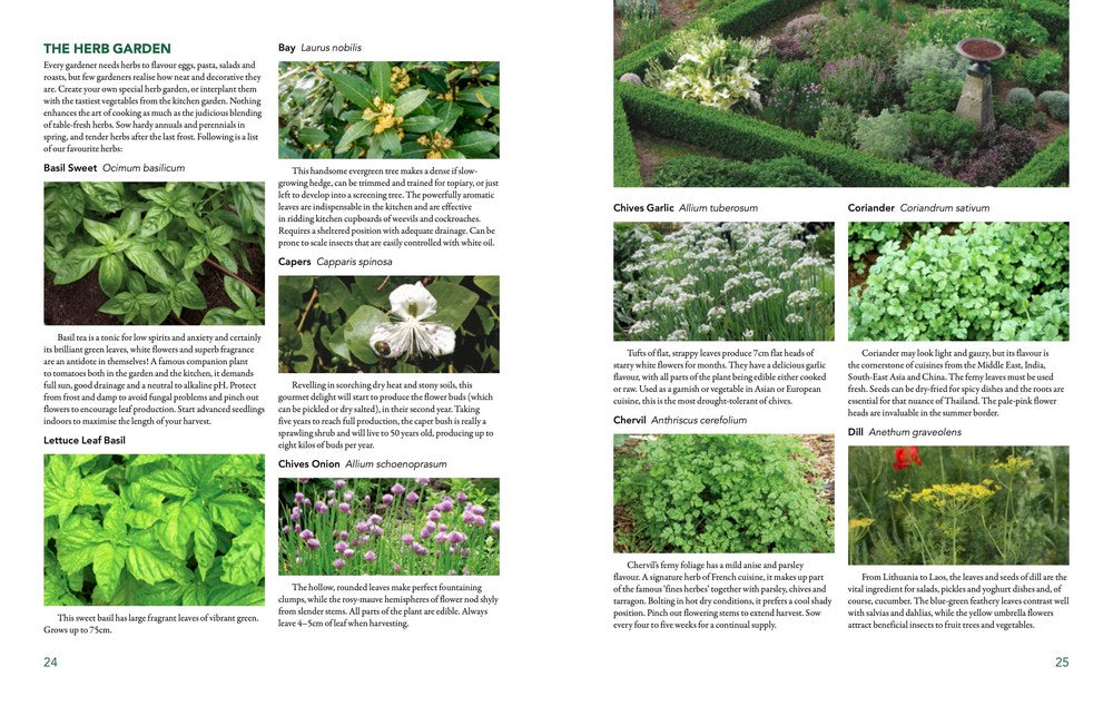 The Australian Vegetable Garden