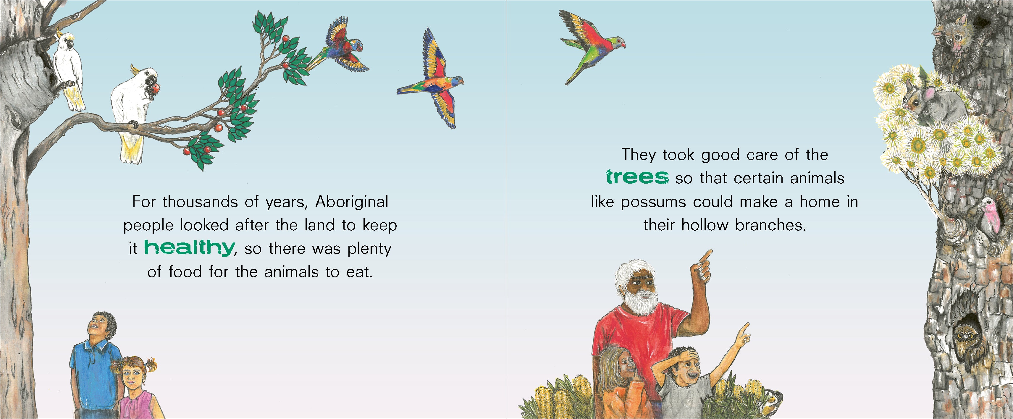 Animals on Country: Let's look after the animals with Uncle Kuu