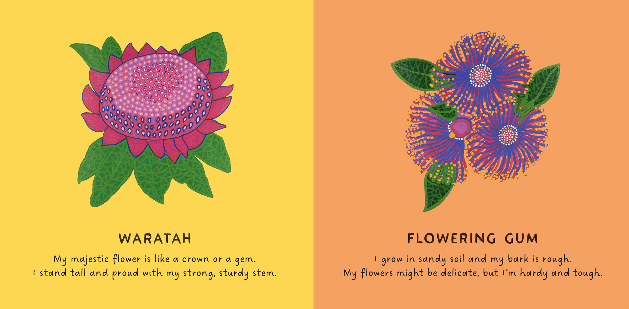 Our Flowers