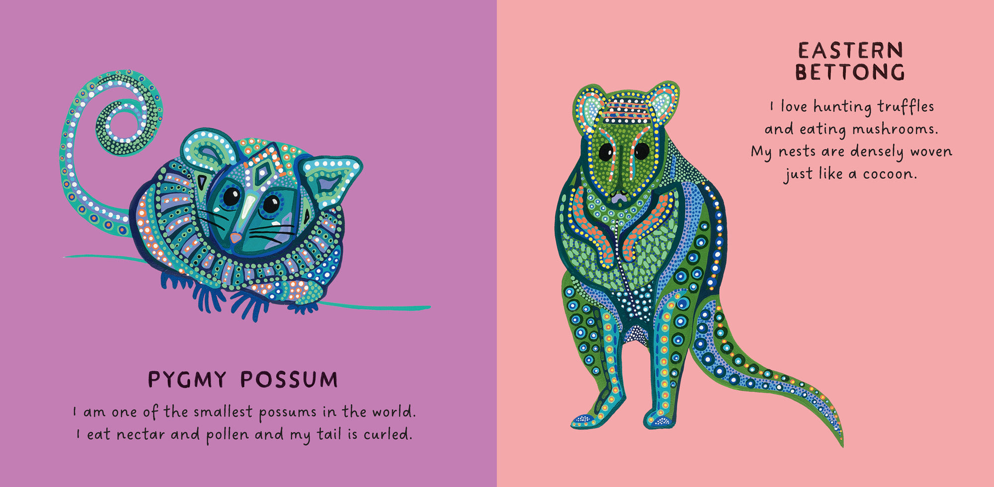 Our Marsupials