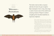 Animalium Junior Edition