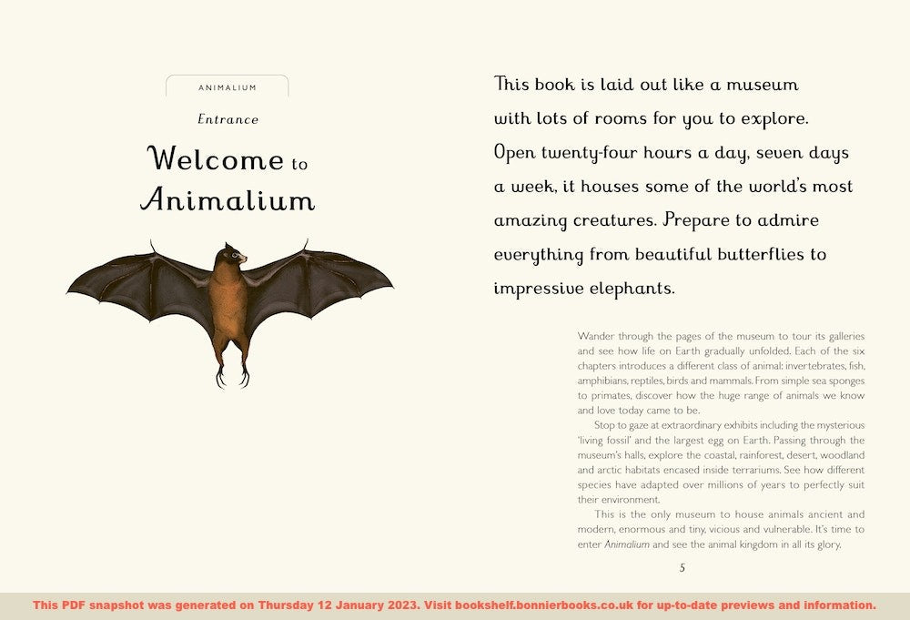 Animalium Junior Edition