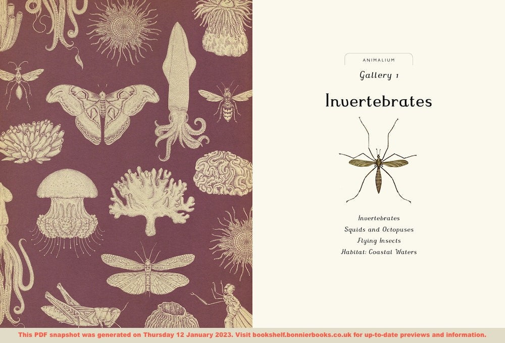 Animalium Junior Edition