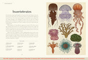 Animalium Junior Edition