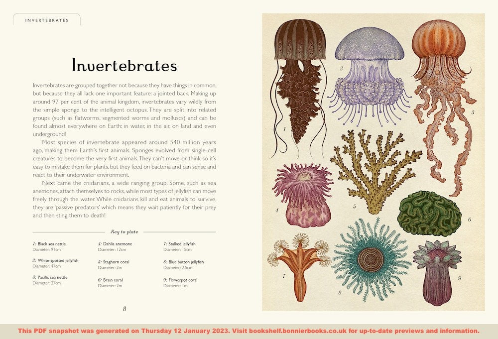 Animalium Junior Edition