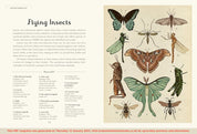 Animalium Junior Edition
