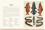 Animalium Junior Edition
