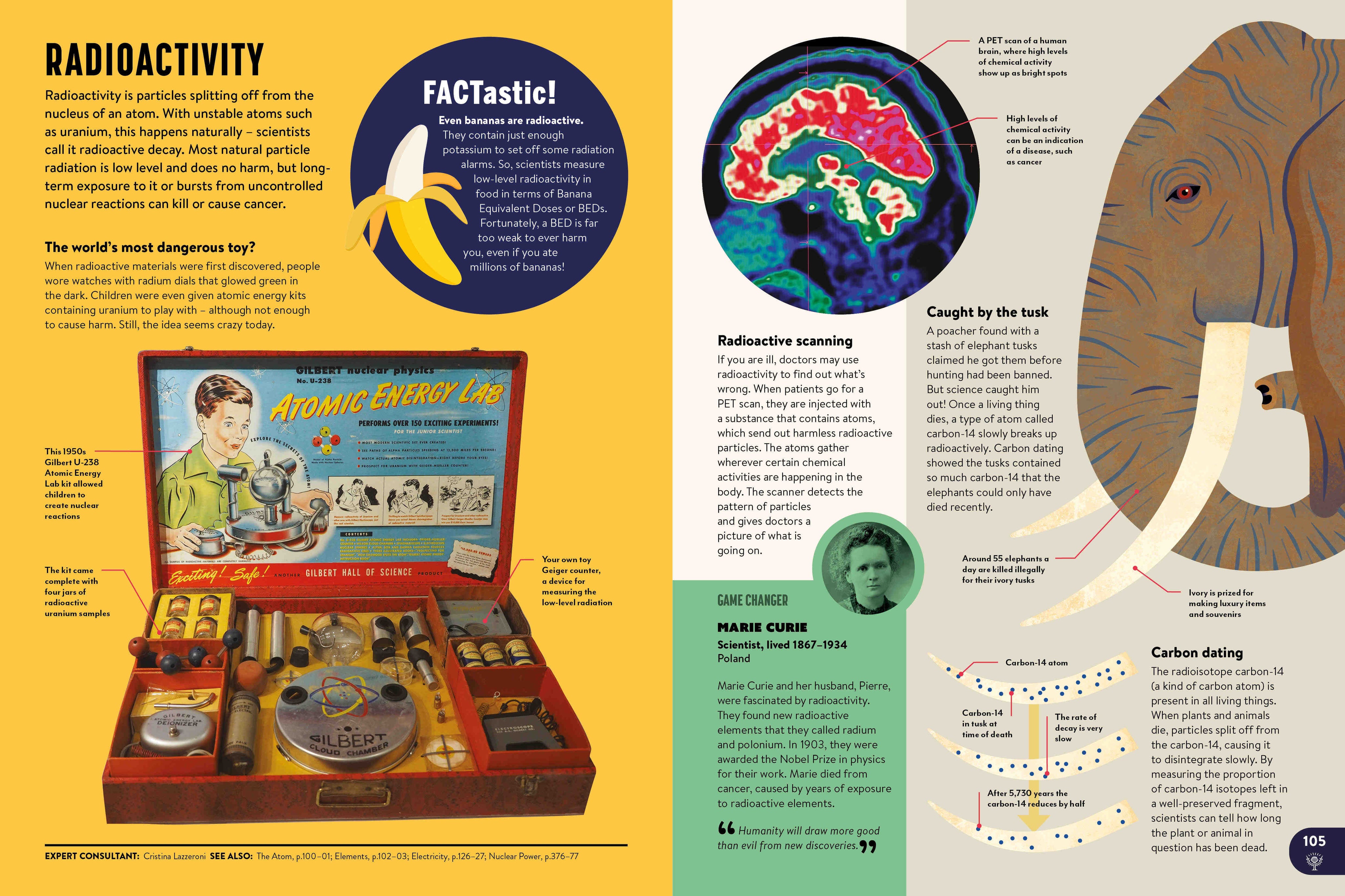 Britannica All New Children's Encyclopedia: What We Know & What We Don't