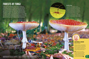 Britannica All New Children's Encyclopedia: What We Know & What We Don't