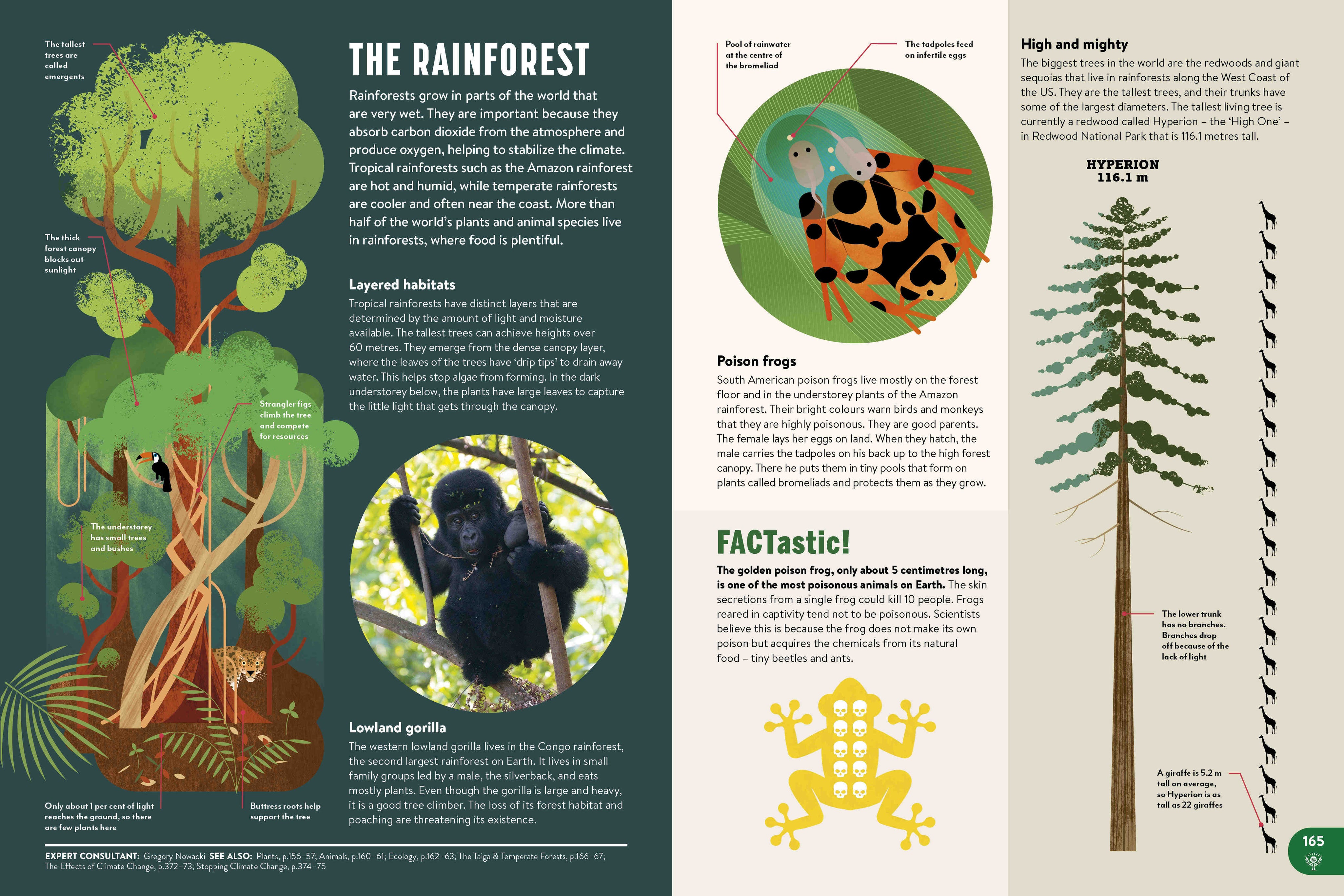Britannica All New Children's Encyclopedia: What We Know & What We Don't