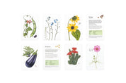 The Seed Collectors Kit