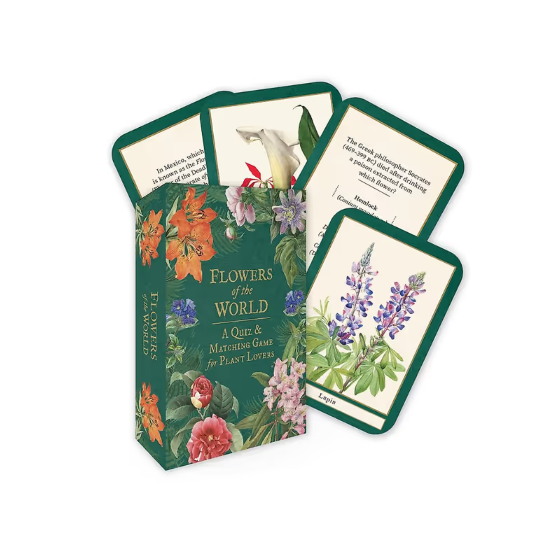 Flowers of the World: A Quiz and Matching Game for Plant Lovers