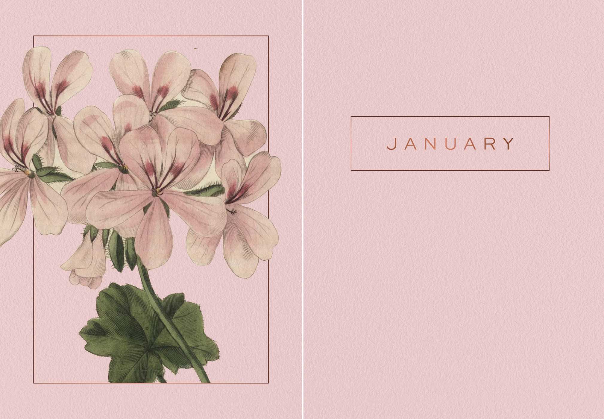A Year of Flowers - A Journal of Daily Wisdom