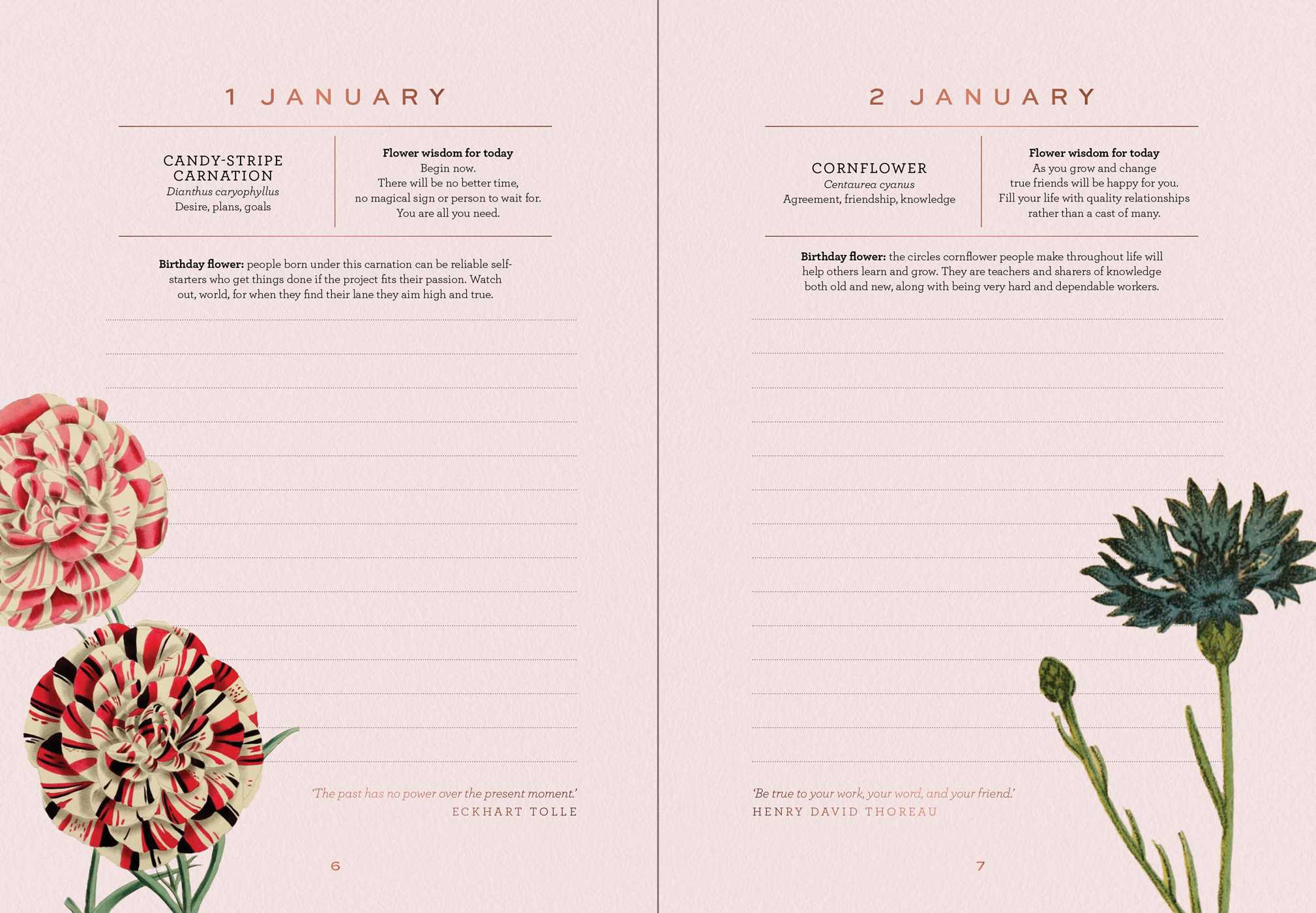 A Year of Flowers - A Journal of Daily Wisdom
