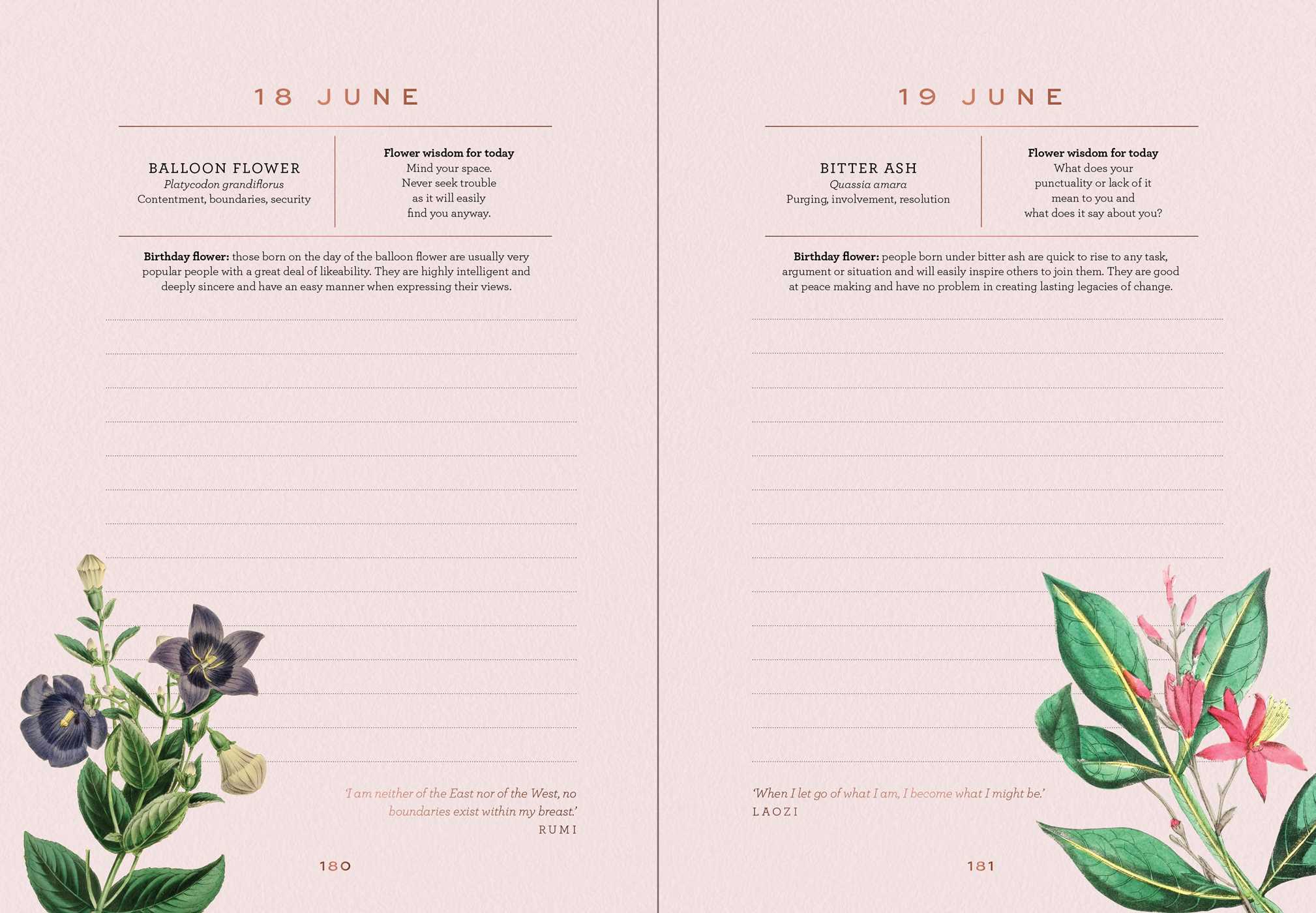 A Year of Flowers - A Journal of Daily Wisdom