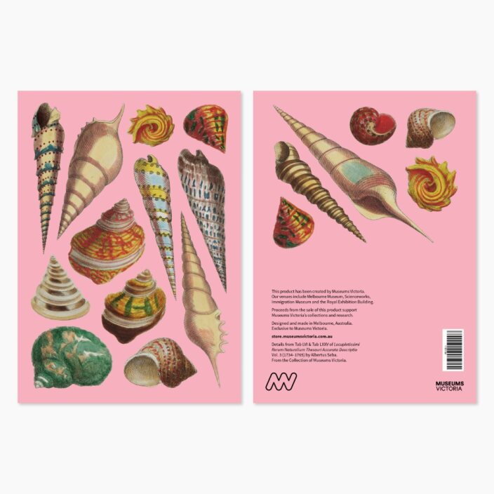 Museum Exclusives – Museums Victoria Store