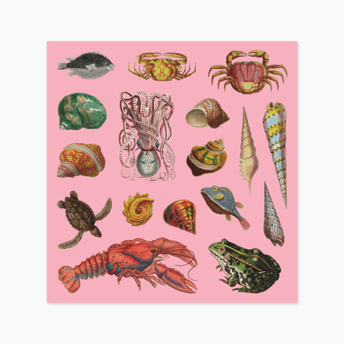 Rare Book Sticker Set – Museums Victoria Store