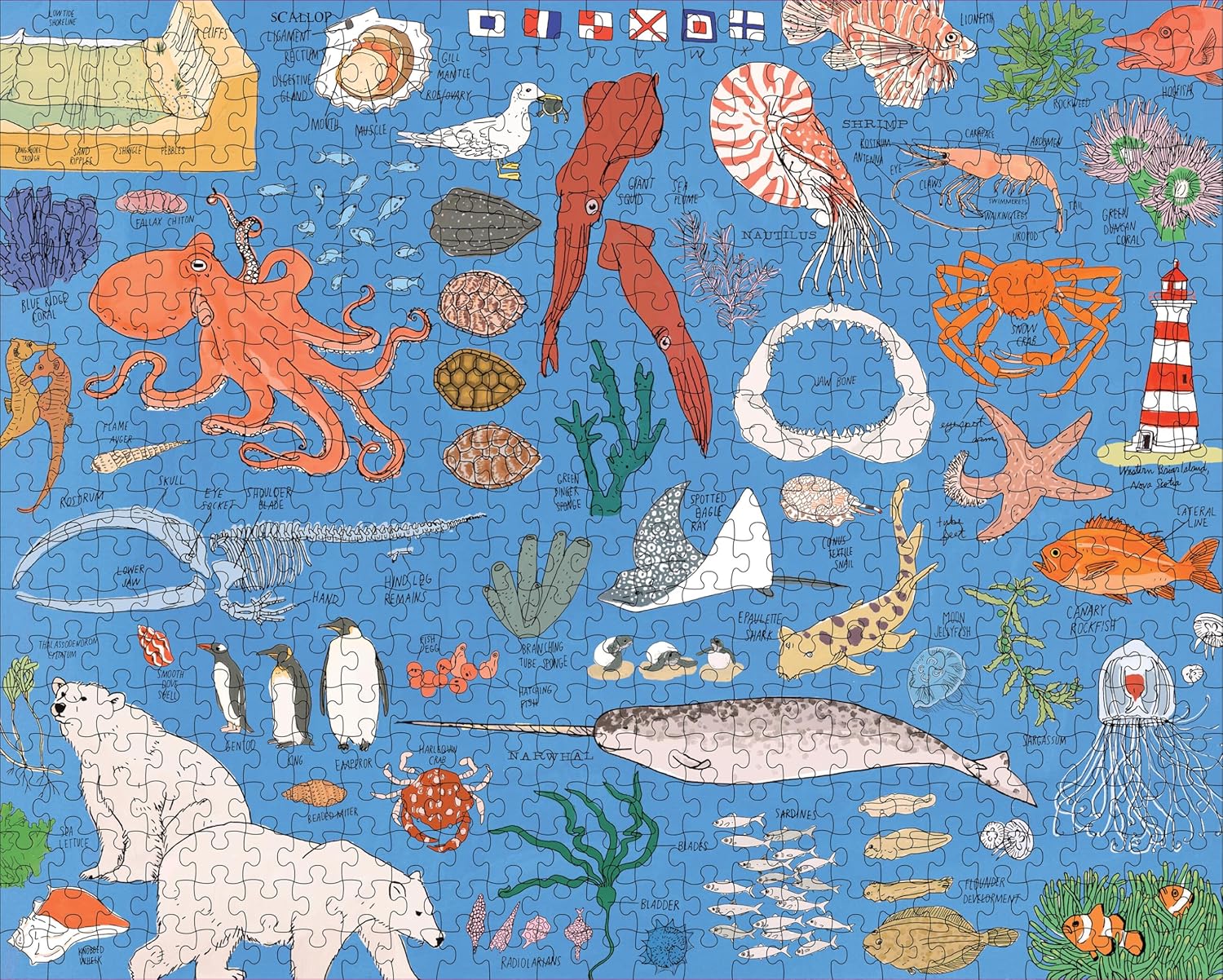 Ocean Anatomy: The Puzzle 500 pc
