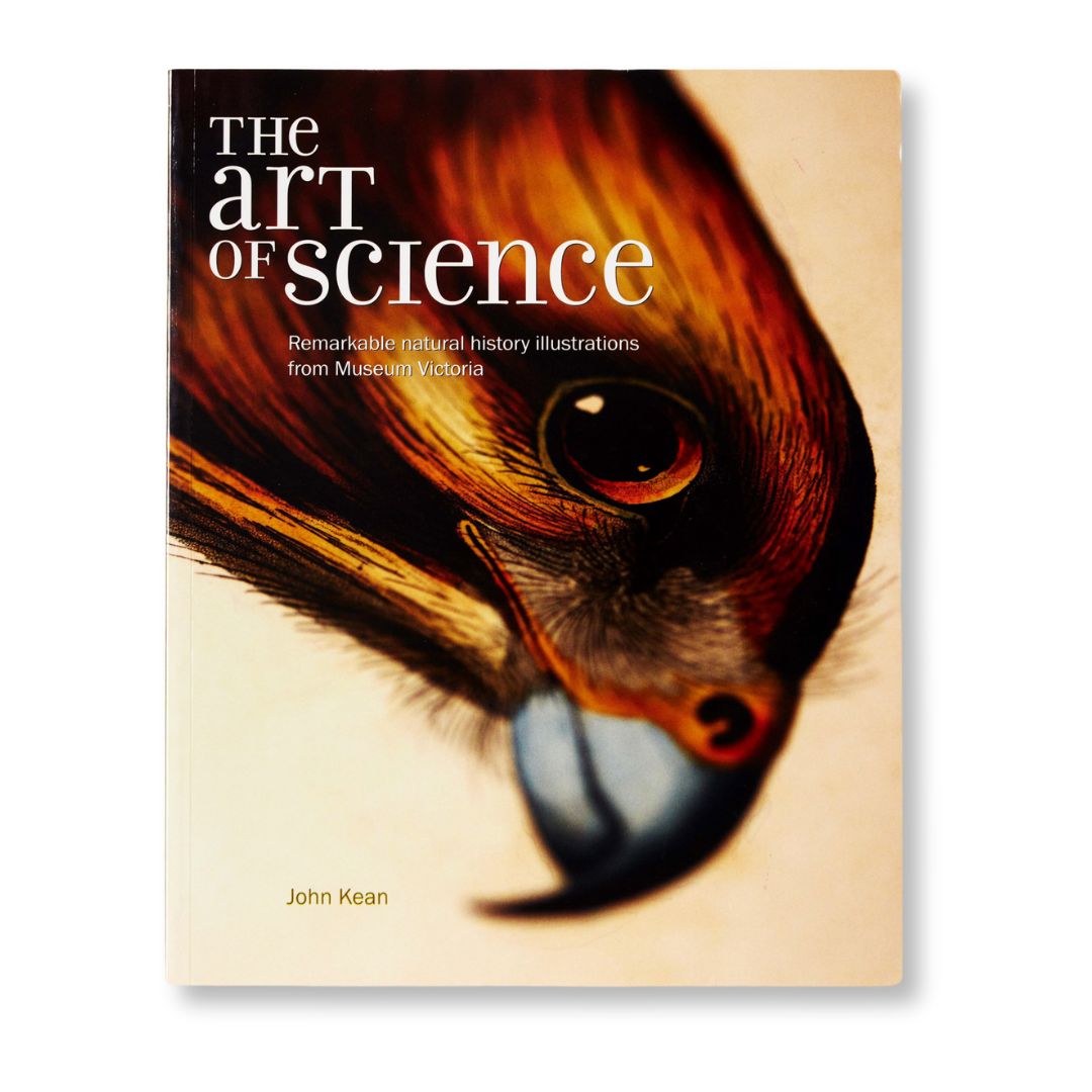 The Art of Science