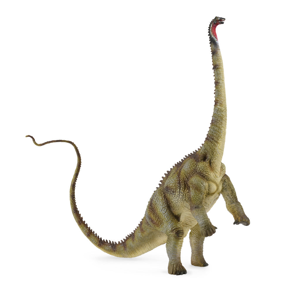 CO88622diplodocus.jpg