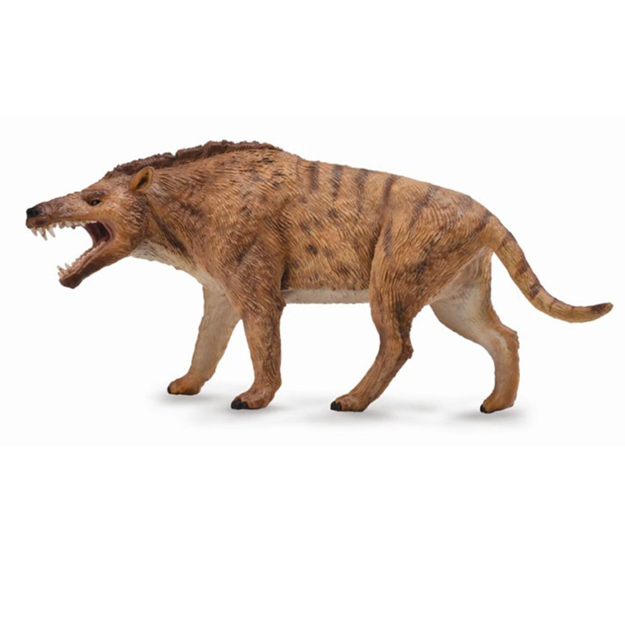 Collecta_Andrewsarchus_88772__61044.jpg