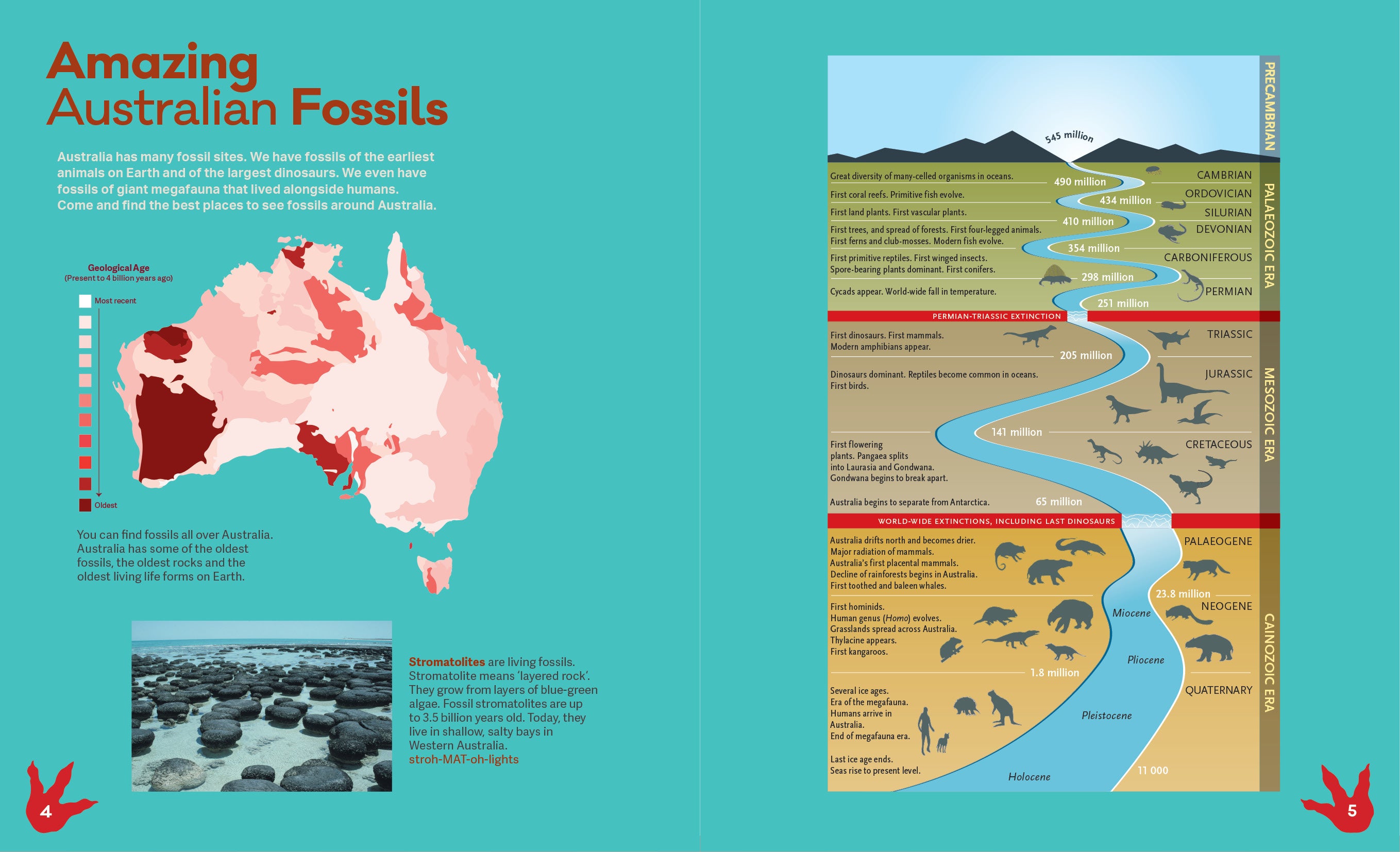 FromDinosaurstoDiprotodons_Spreads3.jpg