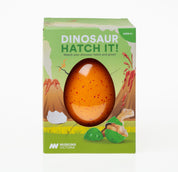 Hatching Dinosaur Egg