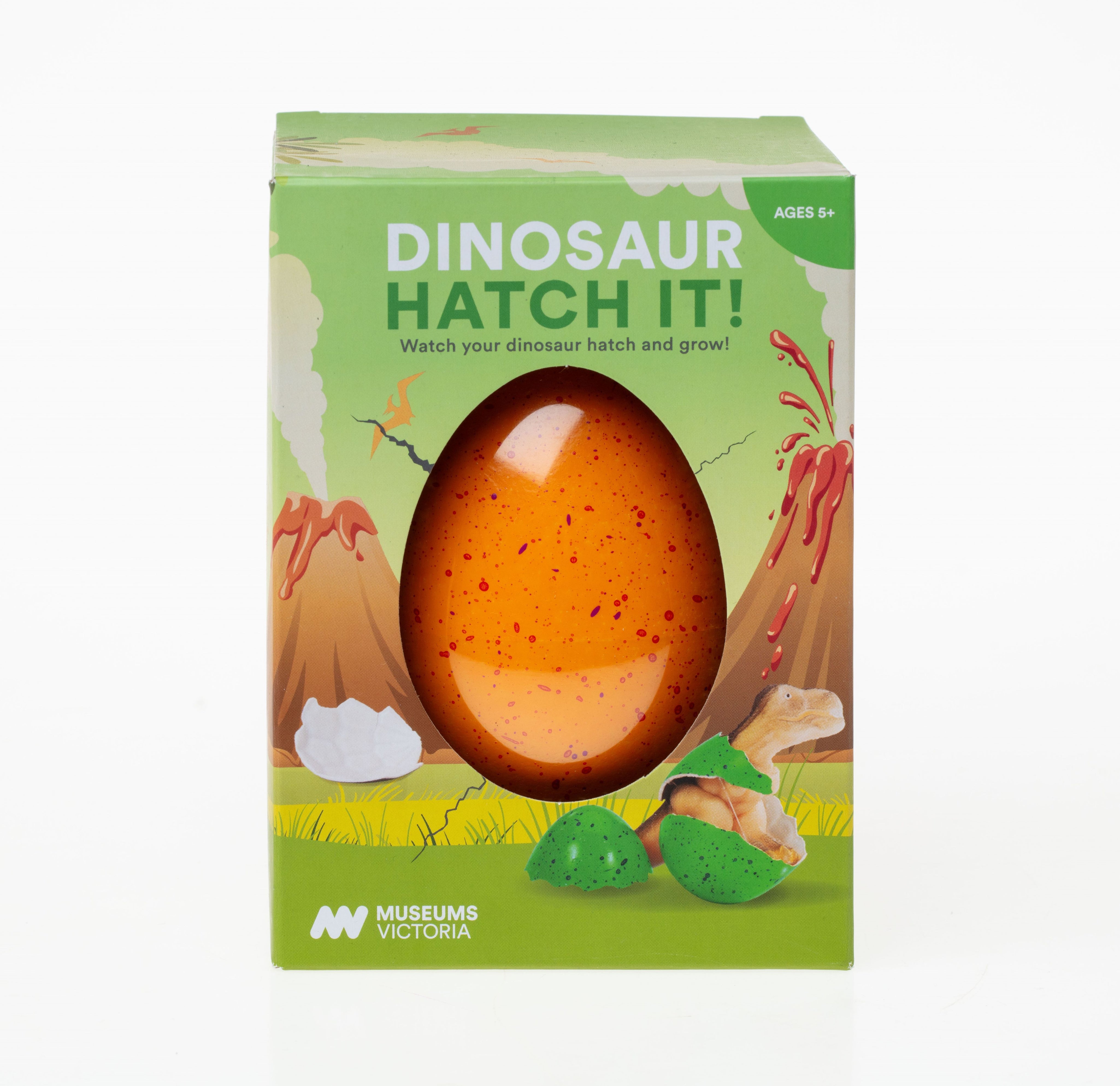 Hatching Dinosaur Egg