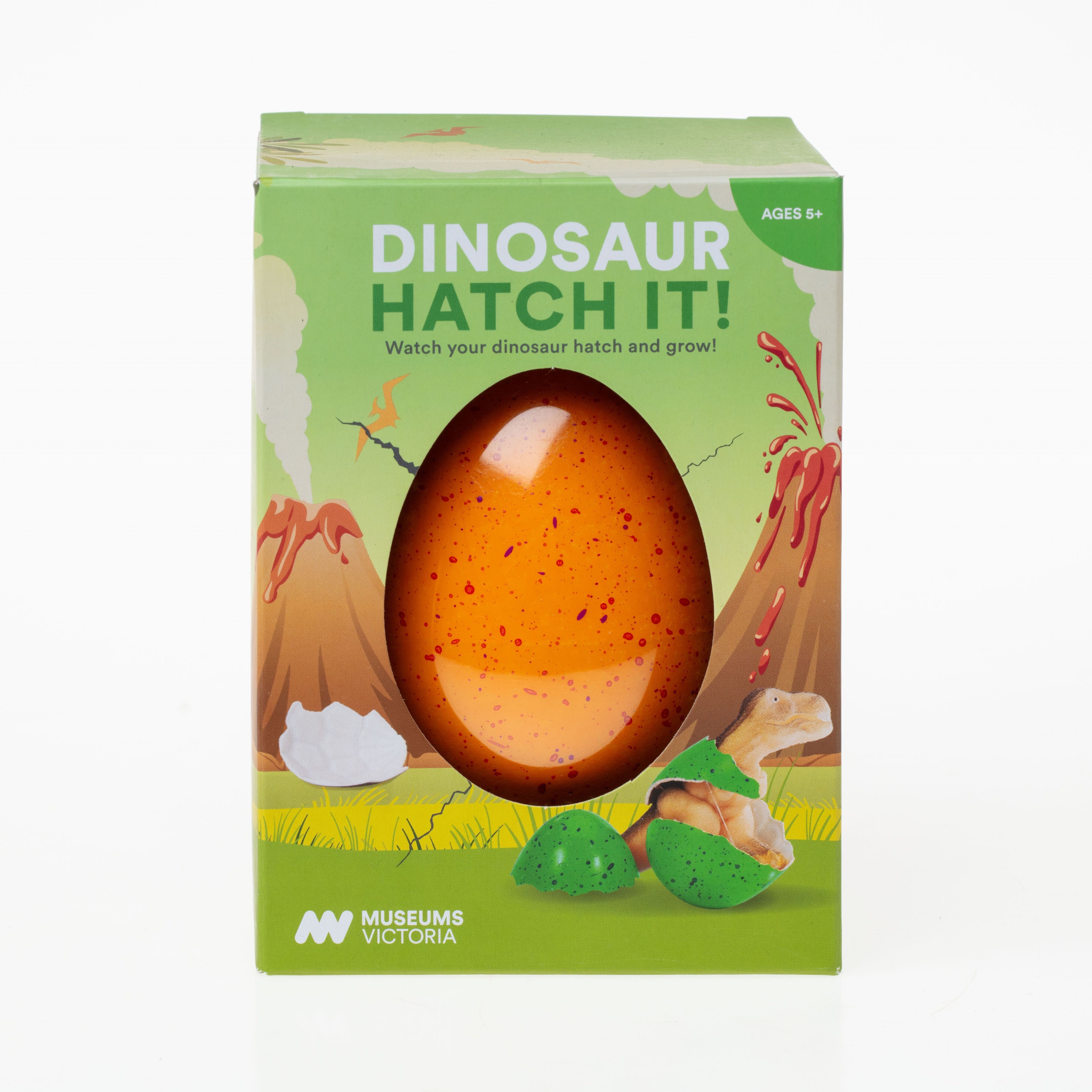 HD246806-A-DinoEgg-042-coCrop.jpg