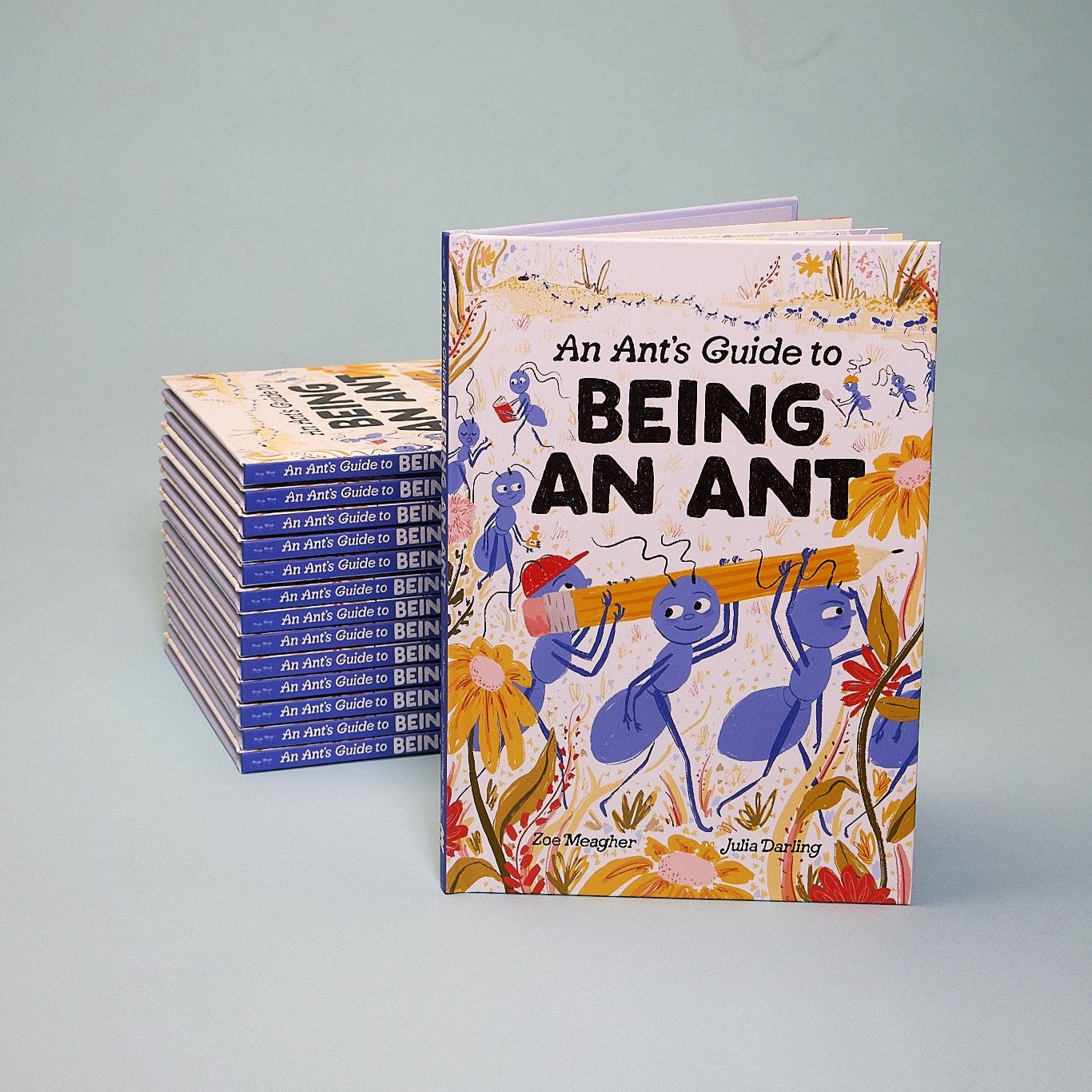 An Ant’s Guide to Being an Ant